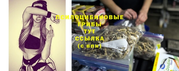 PSILOCYBIN Алексин