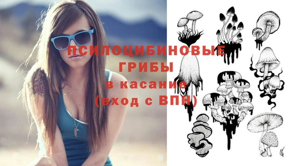 PSILOCYBIN Алексин