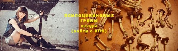 твердый Алексеевка