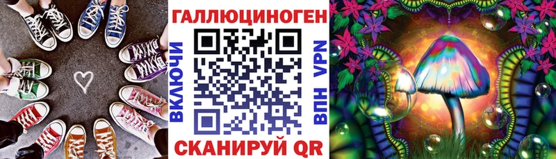 купить наркотик  кракен ONION  Галлюциногенные грибы Psilocybe  Куровское 