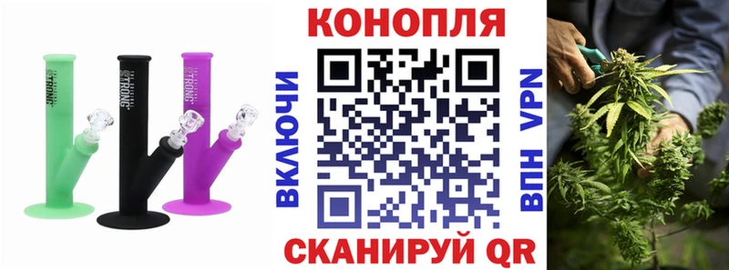 Марихуана план Куровское